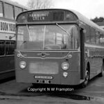 Leyland Panther JKK181E at Southampton depot